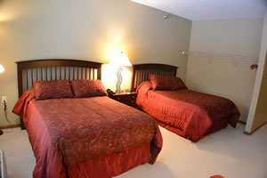 photo full window panels